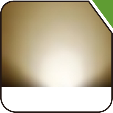 PLSL001